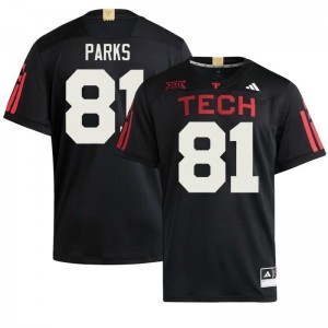 #81 Dave Parks Texas Tech Black 100 Year Anniversary Jersey | Classic Embroidery Men Player Football Gear 98689563